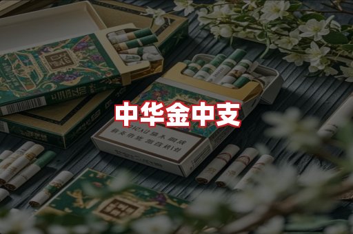 中华金中支
