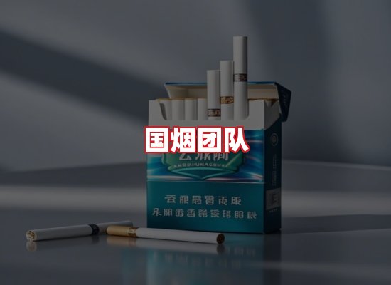 国烟团队